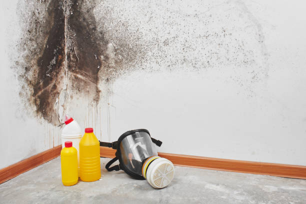 Best Bathroom Mold Remediation in Ranchettes, WY