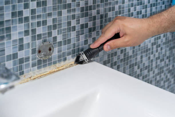 Best Basement Mold Remediation in Ranchettes, WY